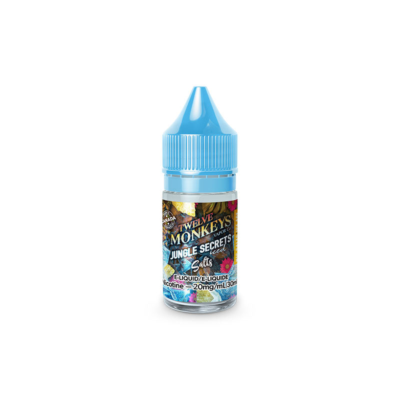 Jungle Secret Iced by Twelve Monkeys Ice Age Salt Juice | Bay Vape