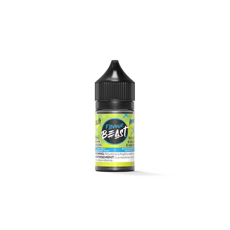 Blessed Blueberry Mint Iced Salt by Flavour Beast E-Liquid - Bay Vape Canada