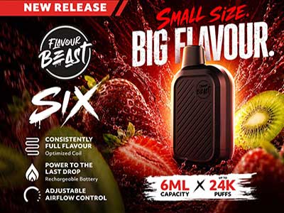 Flavour Beast SIX, 6mL Disposable Vape, Rechargeable, Available in 12 Incredible Flavours | Bay Vape
