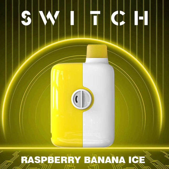 MR FOG Switch 5500 Puffs Disposable - Banana Raspberry Ice