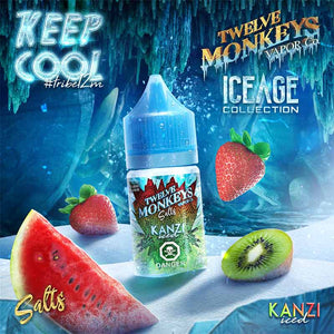 Kanzi Iced Salts by Twelve Monkeys Ice Age Nic Salt Juice - Bay Vape