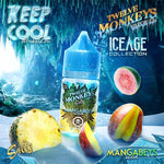 Mangabeys Iced Salts by Twelve Monkeys Ice Age Juice - Bay Vape Canada