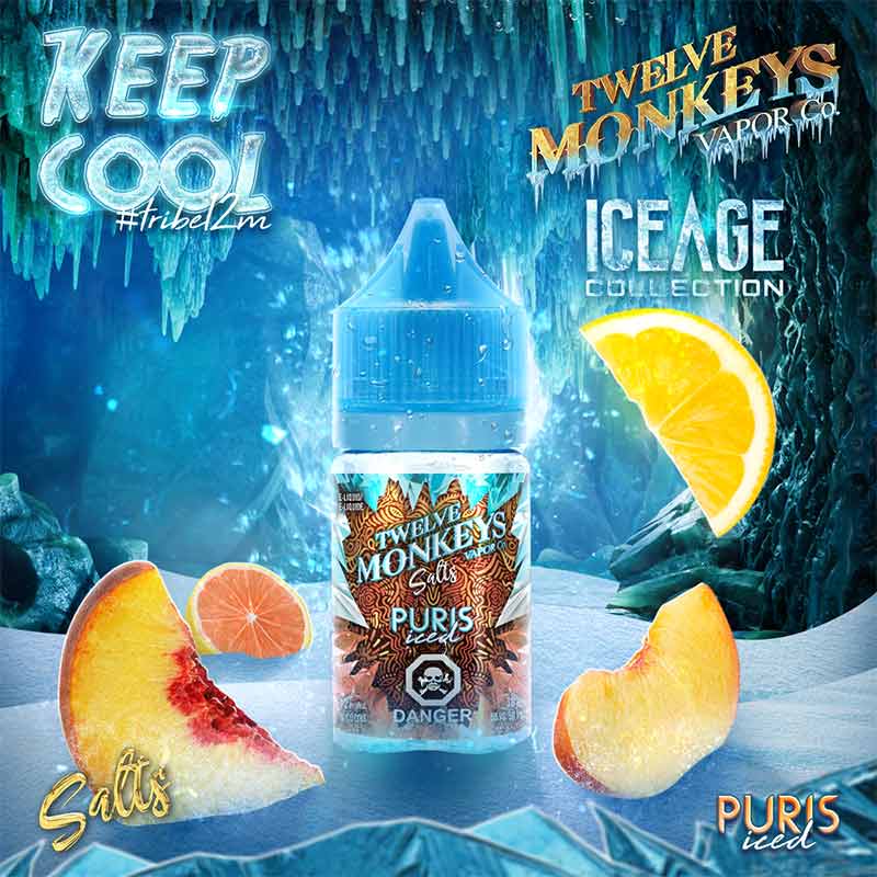 Puris Iced Salts by Twelve Monkeys Ice Age Juice - Bay Vape Canada