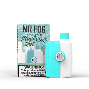 MR FOG Switch 5500 Puffs Disposable - Blueberry Kiwi