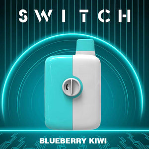 MR FOG Switch 5500 Puffs Disposable - Blueberry Kiwi