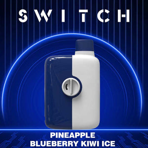 MR FOG Switch 5500 Puffs Disposable - Pineapple Blueberry Kiwi Ice